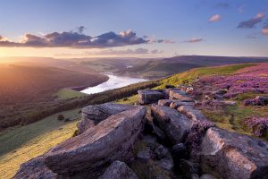 Sunset during the August heather bloom at Bamford Edge overlooking Ladybower Reservoir - Peak District Photography
