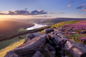 Bamford Edge