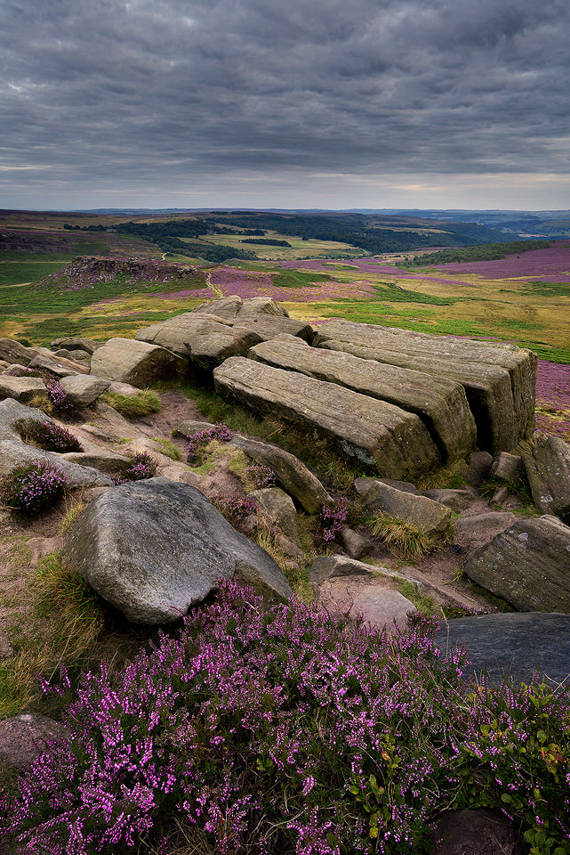 Higger Tor - August at the KitKat Stones