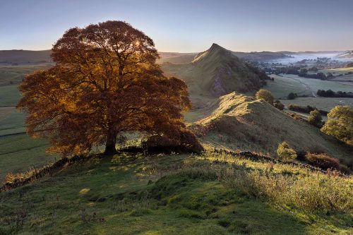 Chrome Hill Autumn Tree - Peak District Photography