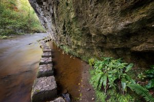 Chee Dale Stepping Stones