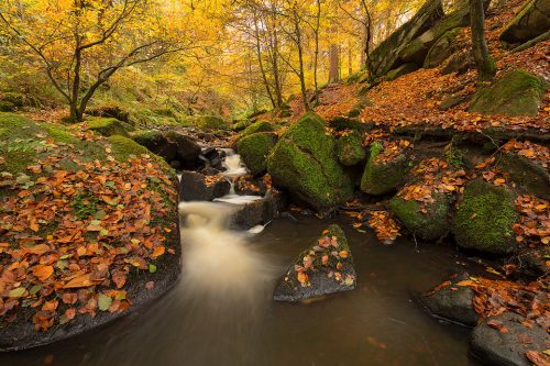 The stunning Wyming Brook in the Peak District National Park. For this composition I waded into the brook and lowered the tripod just over water level to give the small cascades some impact. About Wyming Brook Wyming Brook features a long brook that flows down the valley from the Redmires reservoirs down to the Rivelin Dams. The site was once reserved exclusively for nobility, as it was part of the hunting and hawking grounds of Rivelin Chase. The Brook is part of the Eastern Moors Site of Special Scientific Interest (SSSI), and along with stunning scenery there is an abundance of wildlife at the reserve.